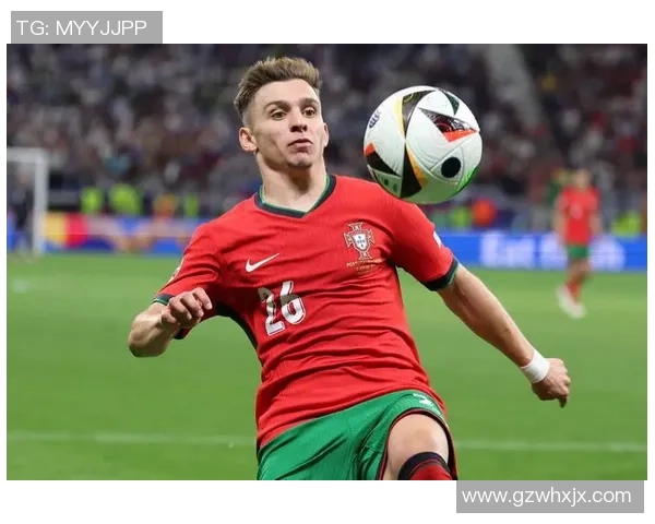 葡萄牙足球第一球星的传奇之路与世界足坛的辉煌成就 葡萄牙足球第一球星的传奇之路与世界足坛的辉煌成就