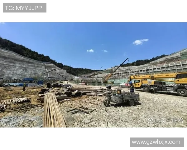 足球星卡价格走势深度解析及收藏投资价值全面观察