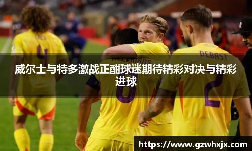 威尔士与特多激战正酣球迷期待精彩对决与精彩进球